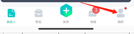 怎么查看稻穗的版本更新