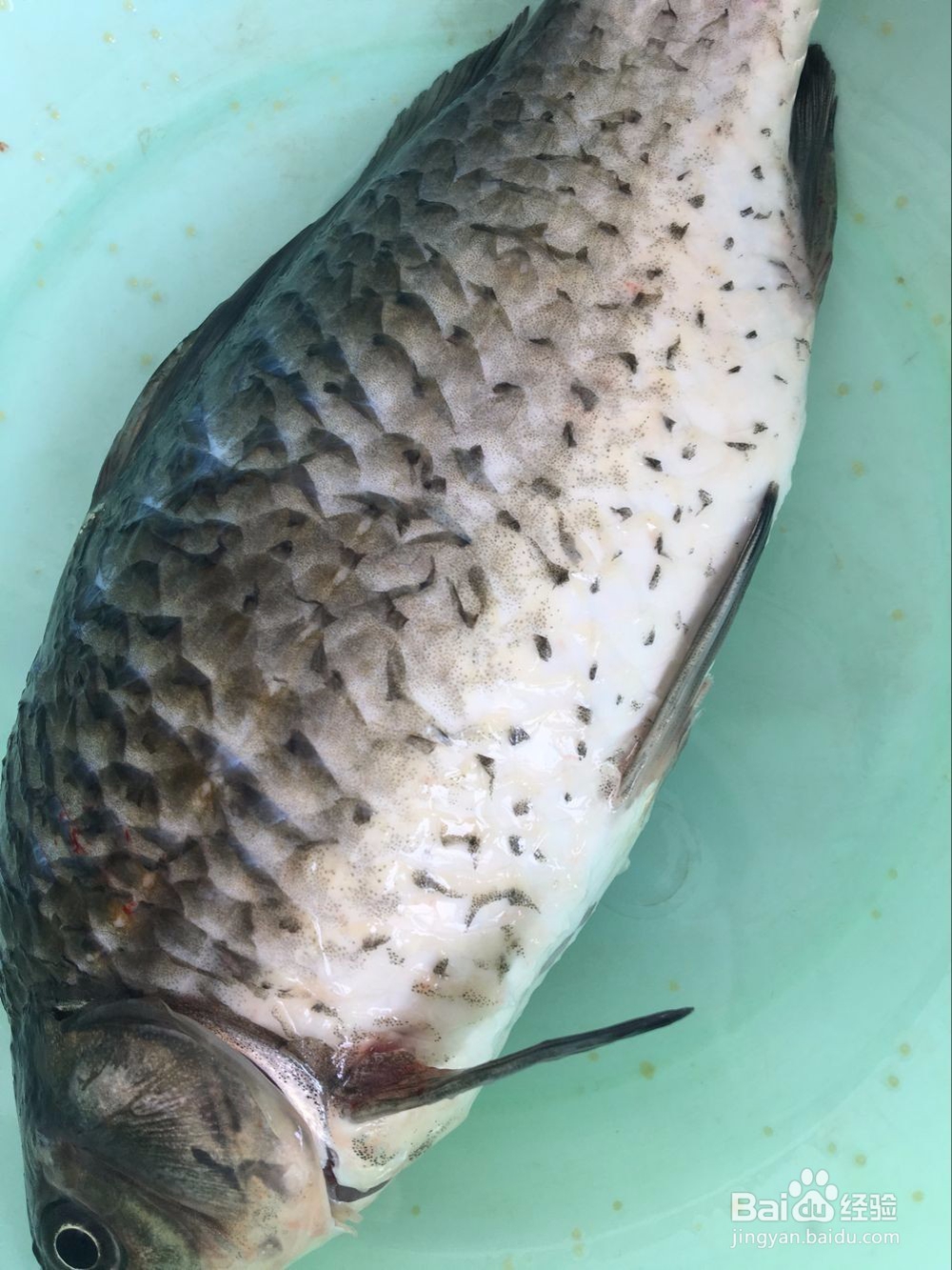 鲫鱼豆腐汤怎么烧？