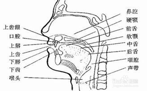 如何使自己的音质优美