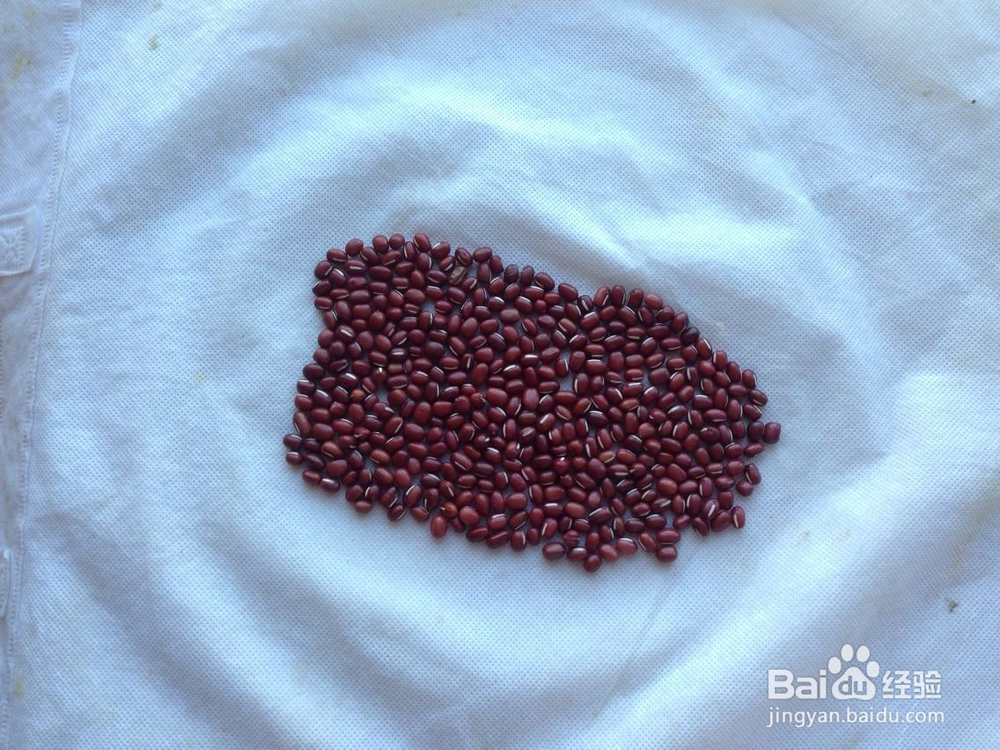 怎样画种子画--大象