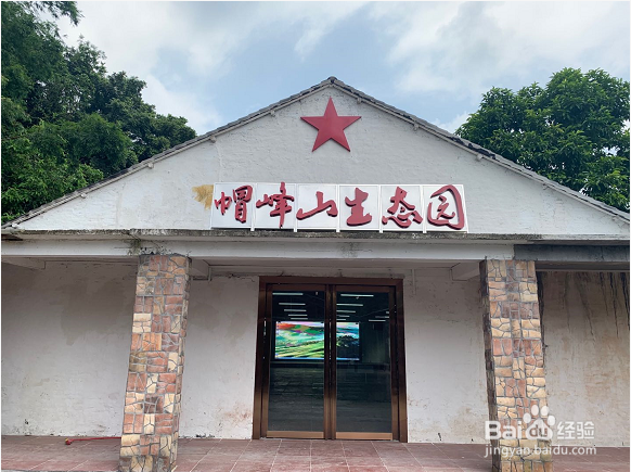 五一节假日去哪玩来广州帽峰山生态园