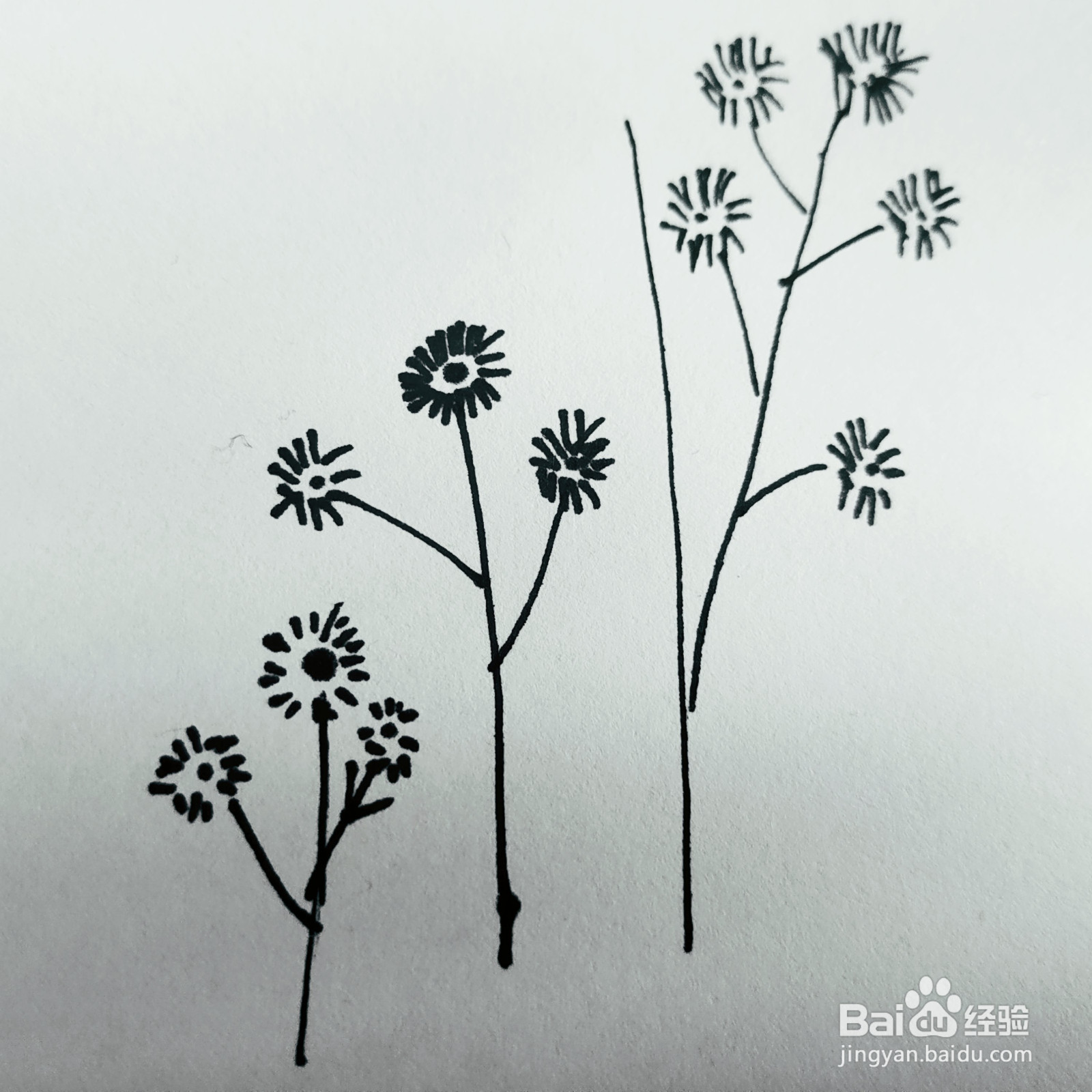 三岁孩子也能够学会的画小花简笔画的画法