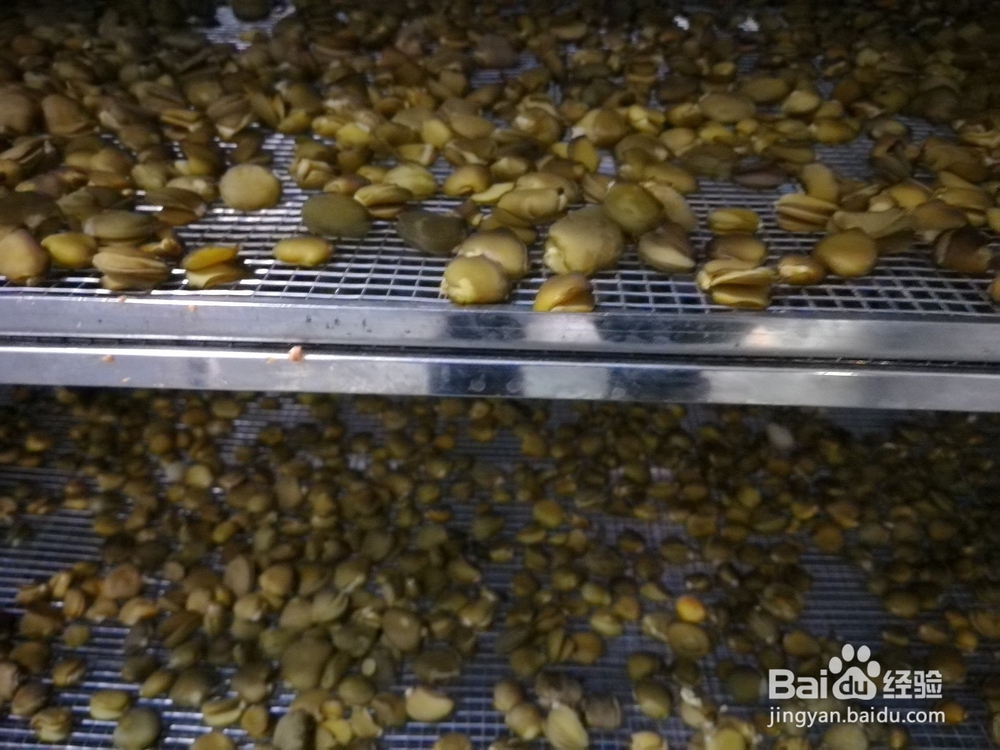 榄钱烘干机的烘干时间计算及烘干系统容量的配置