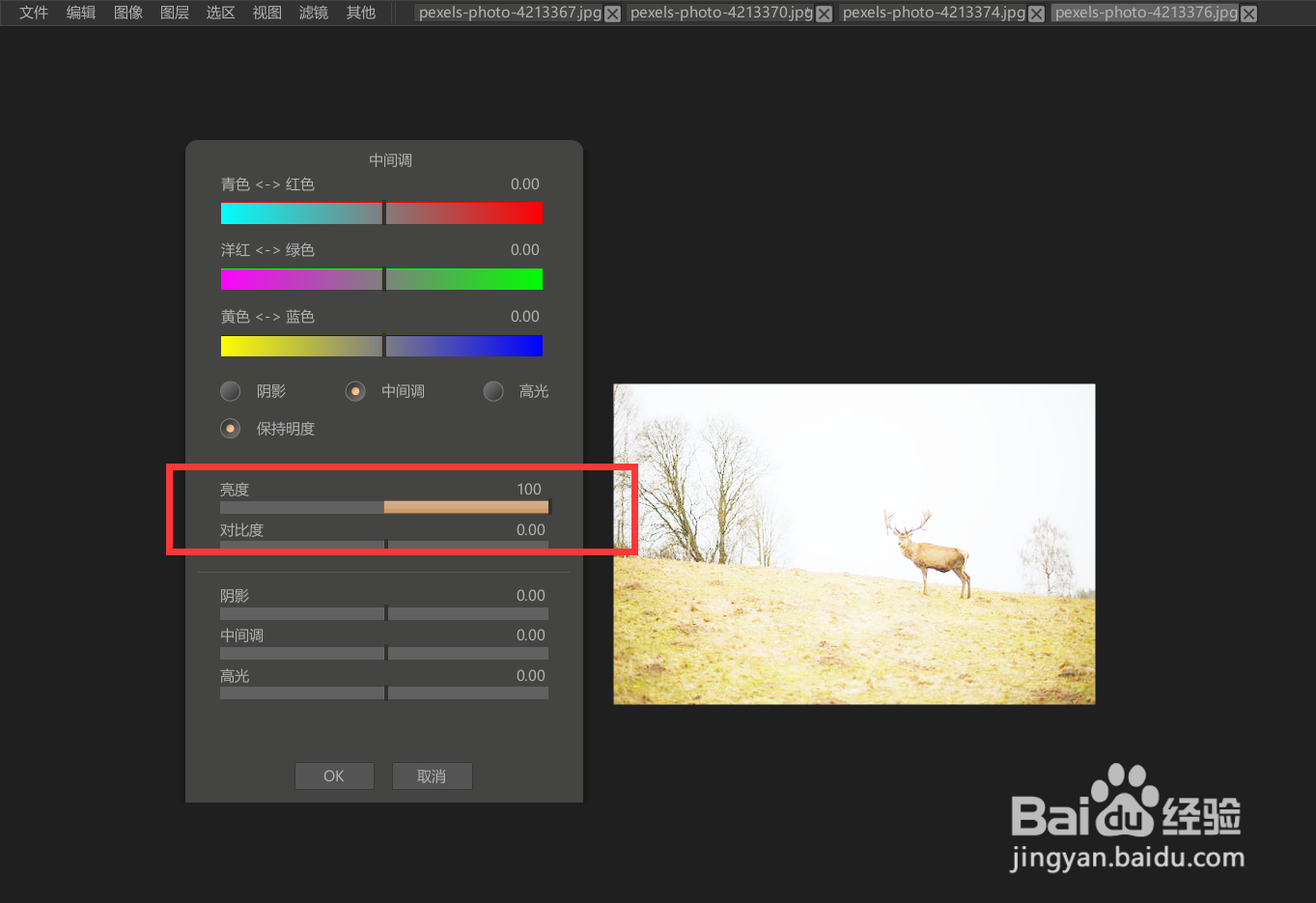 怎么使用paintstorm修改图像的亮度？