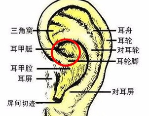 如何正确佩戴双体蓝牙耳机