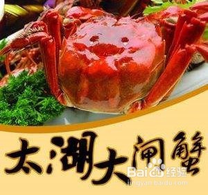 市面上几种常见大闸蟹价格