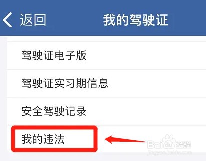 行驶证查询违章