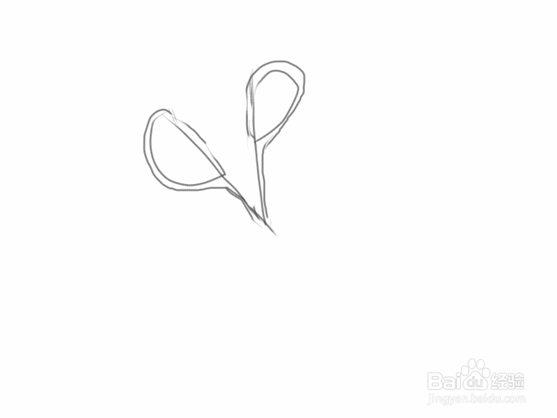 手绘涂鸦系列之怎样画夹眉毛夹