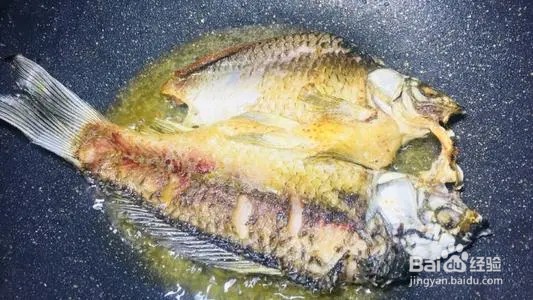 正宗石锅鱼在哪里学