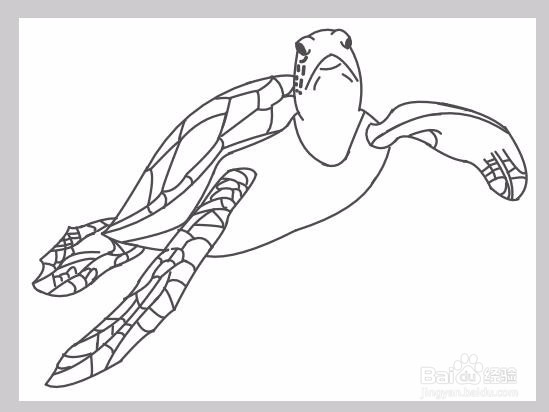 <b>如何画一只遨游的海龟</b>