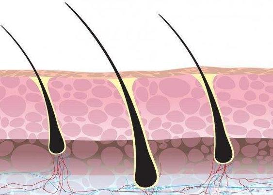 毛囊生发原理是什么