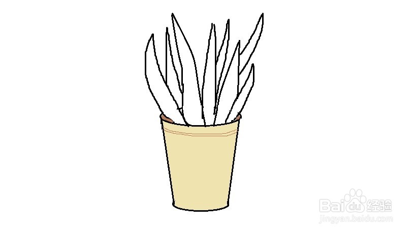 如何画一盆芦荟插画