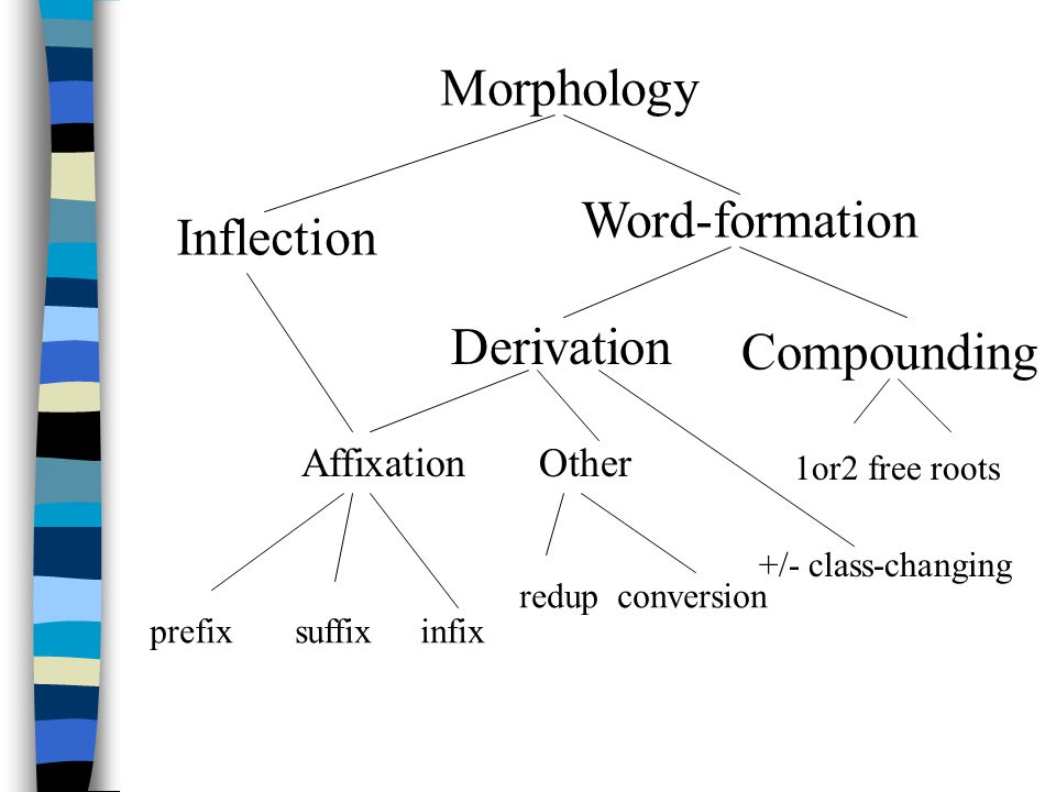 派生法指的是什么