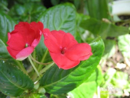 五一张家界自驾游