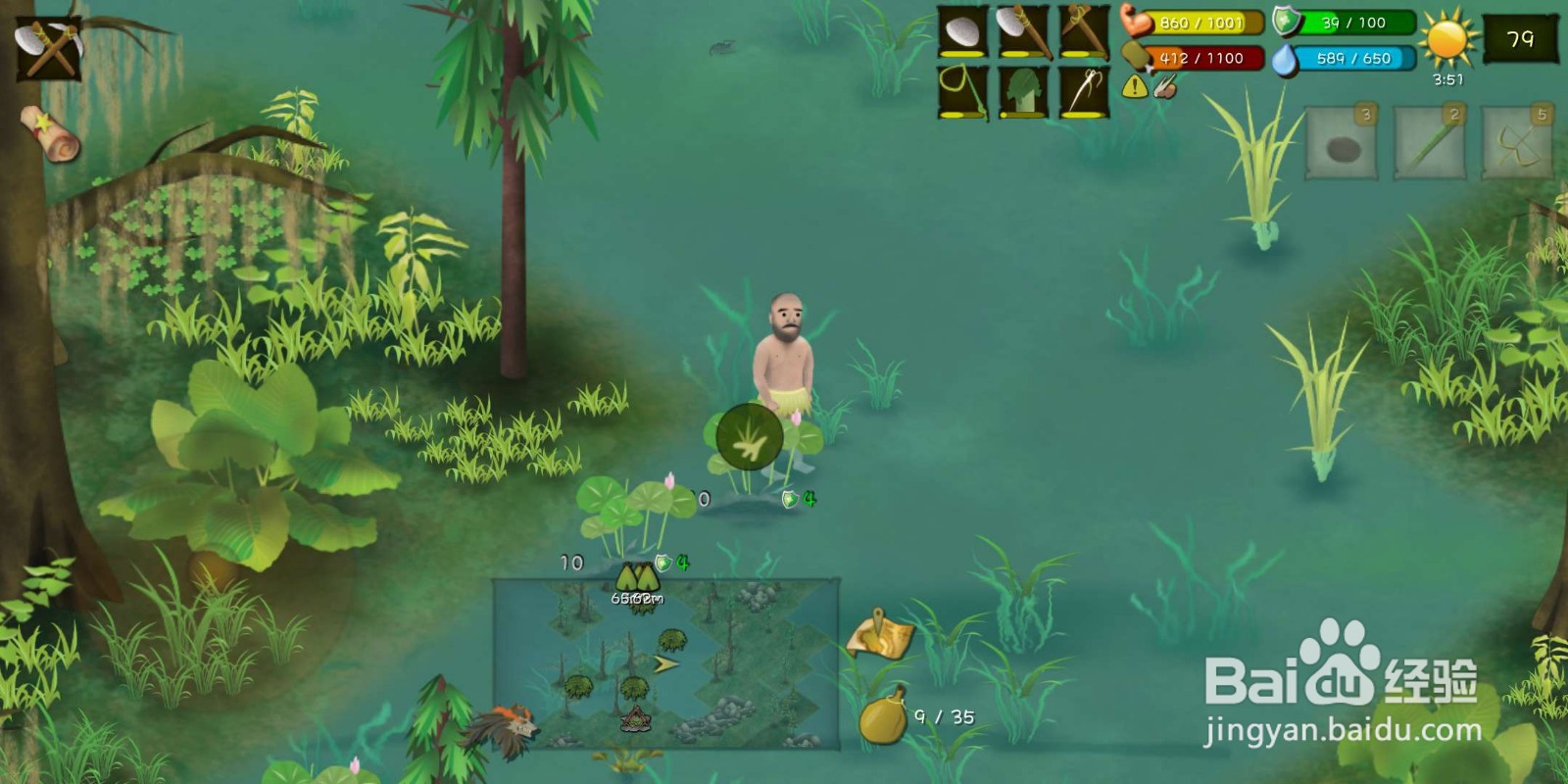 挨饿荒野（丛林沼泽）怎么种植莲藕？