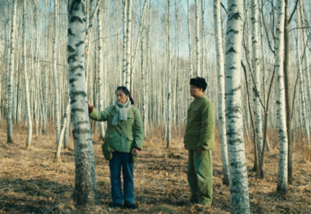 《人世间》周秉义郝冬梅去白桦林干什么