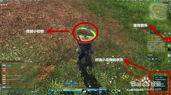 天涯明月刀引虎伤人玩法介绍