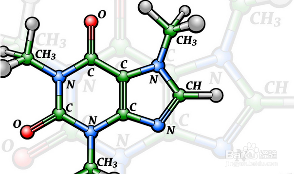 杏鲍菇的营养价值
