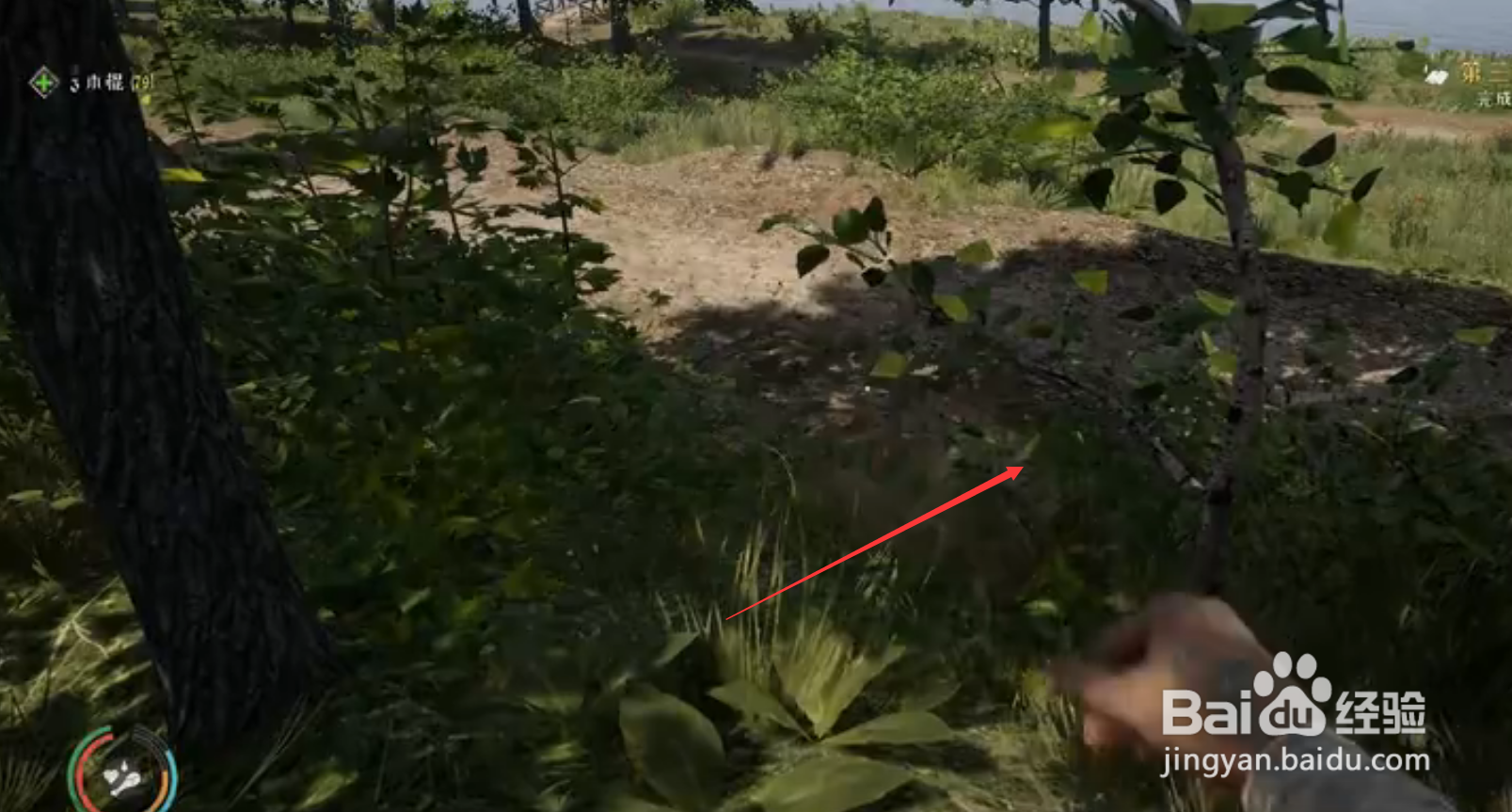 中世纪王朝游戏介绍