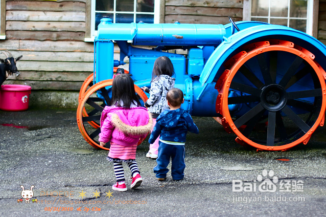 拾海的孩子&亲亲小动物(组图)