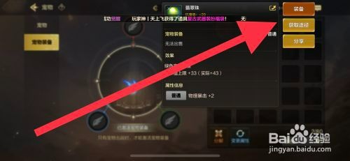 DNF手游宠物装备翡翠珠怎么操作