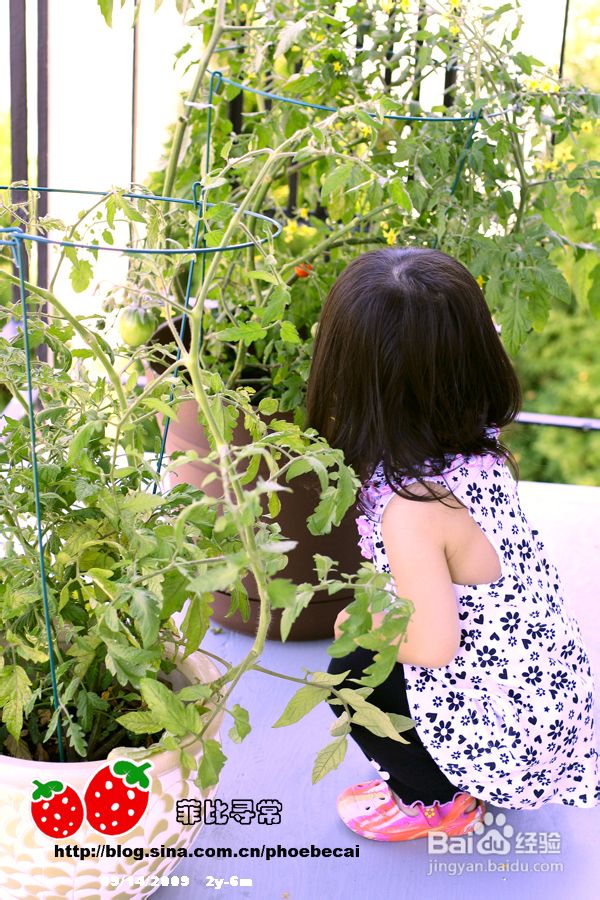 温哥华鹿湖Deer Lake 黄昏漫步(组图)