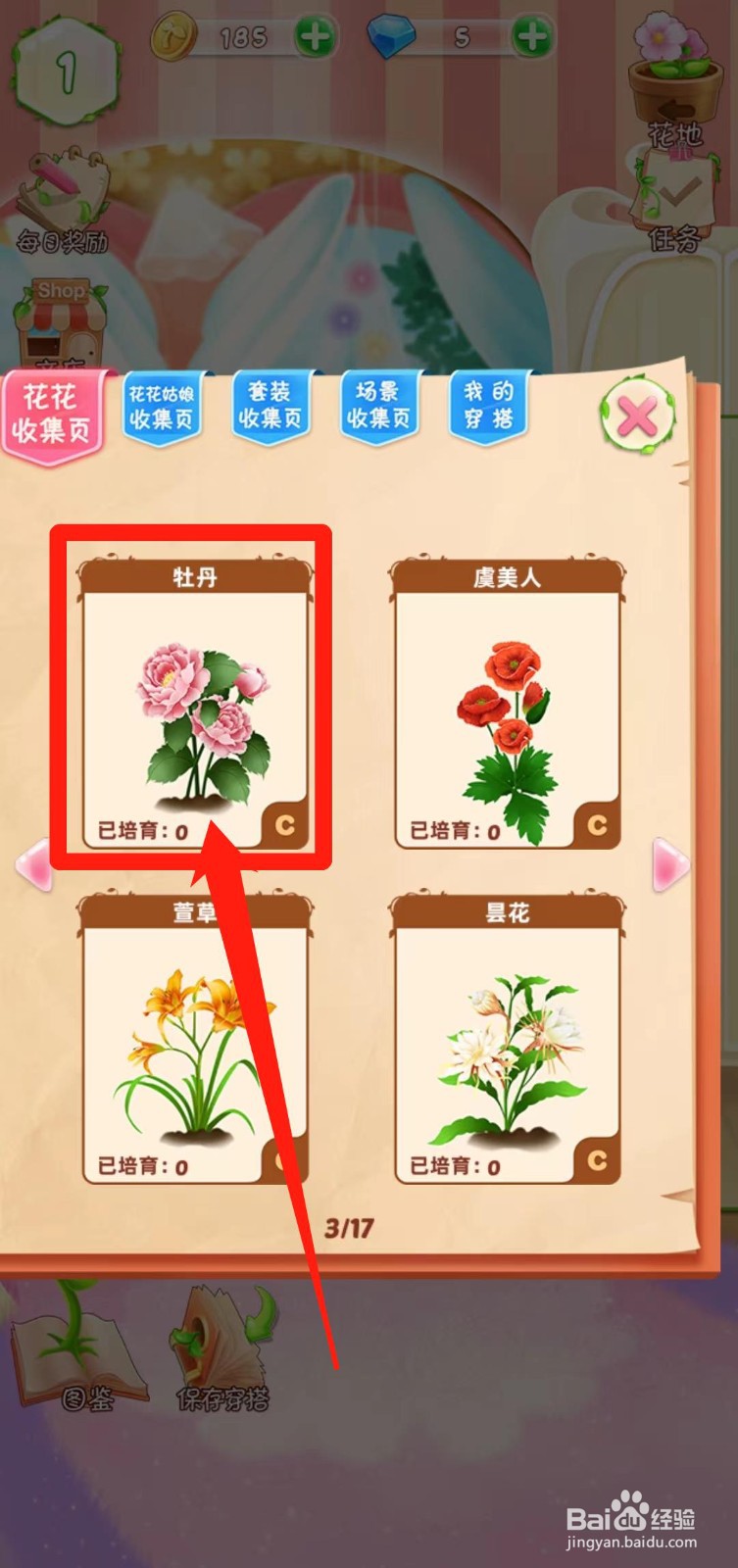 花花姑娘之魔法花园如何查看牡丹简介