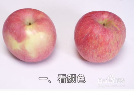如何挑选苹果才会水分多又甜？