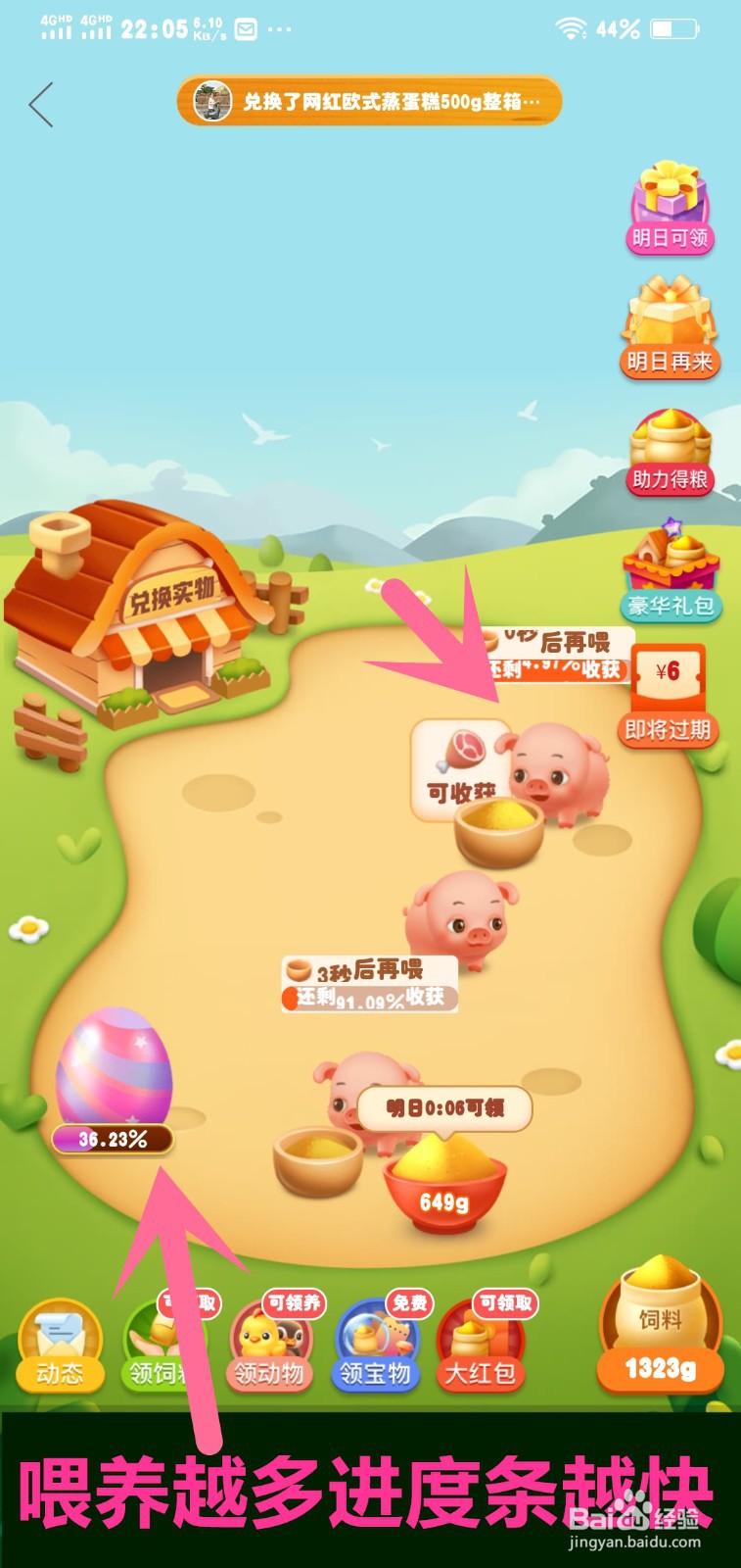 多多牧场稀有动物孵化72小时