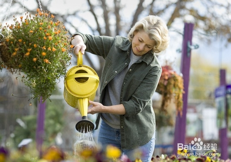 蛋壳的神奇用处