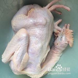怎么做白斩鸡
