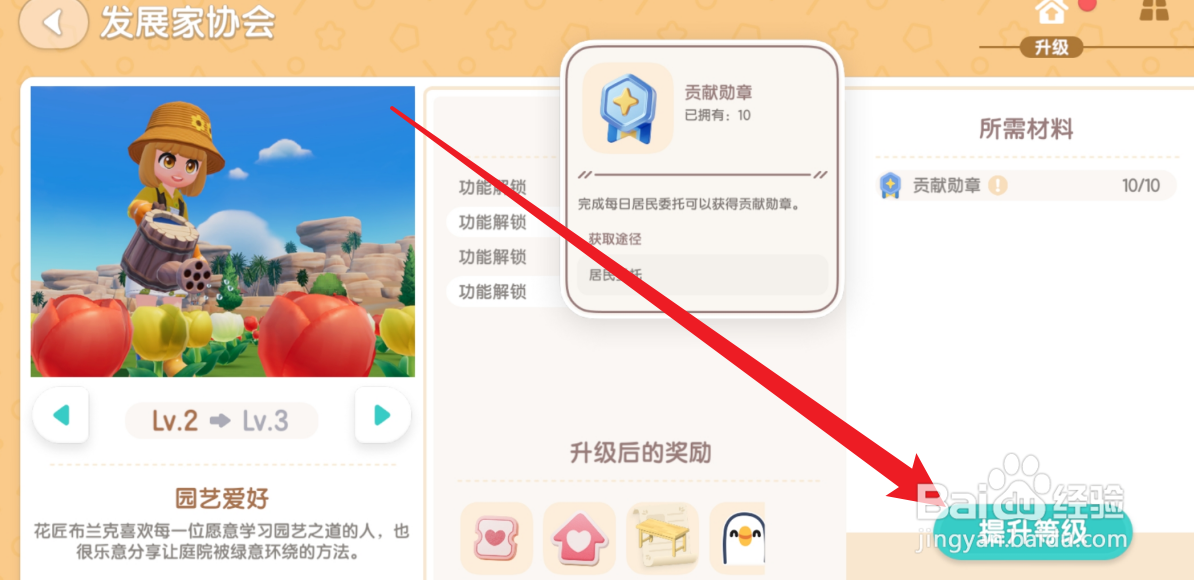 心动小镇怎么提升发展家协会的等级
