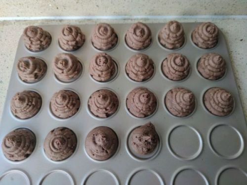 可可黄油便便曲奇饼干