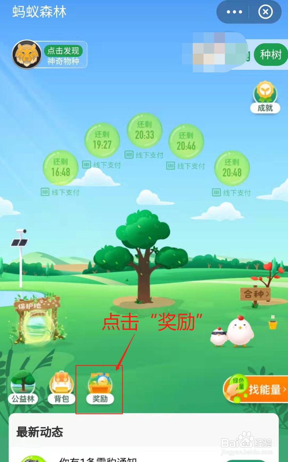 蚂蚁森林小树如何获得霜降节气装扮