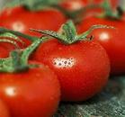 孕妇不能吃哪些食物