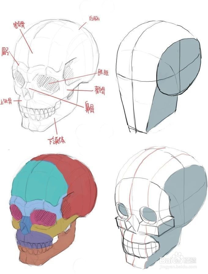 怎么画动漫人物