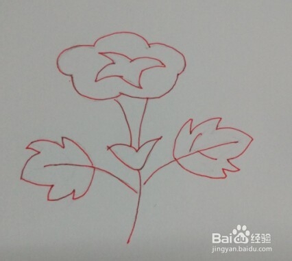 简笔画【牵牛花】画法