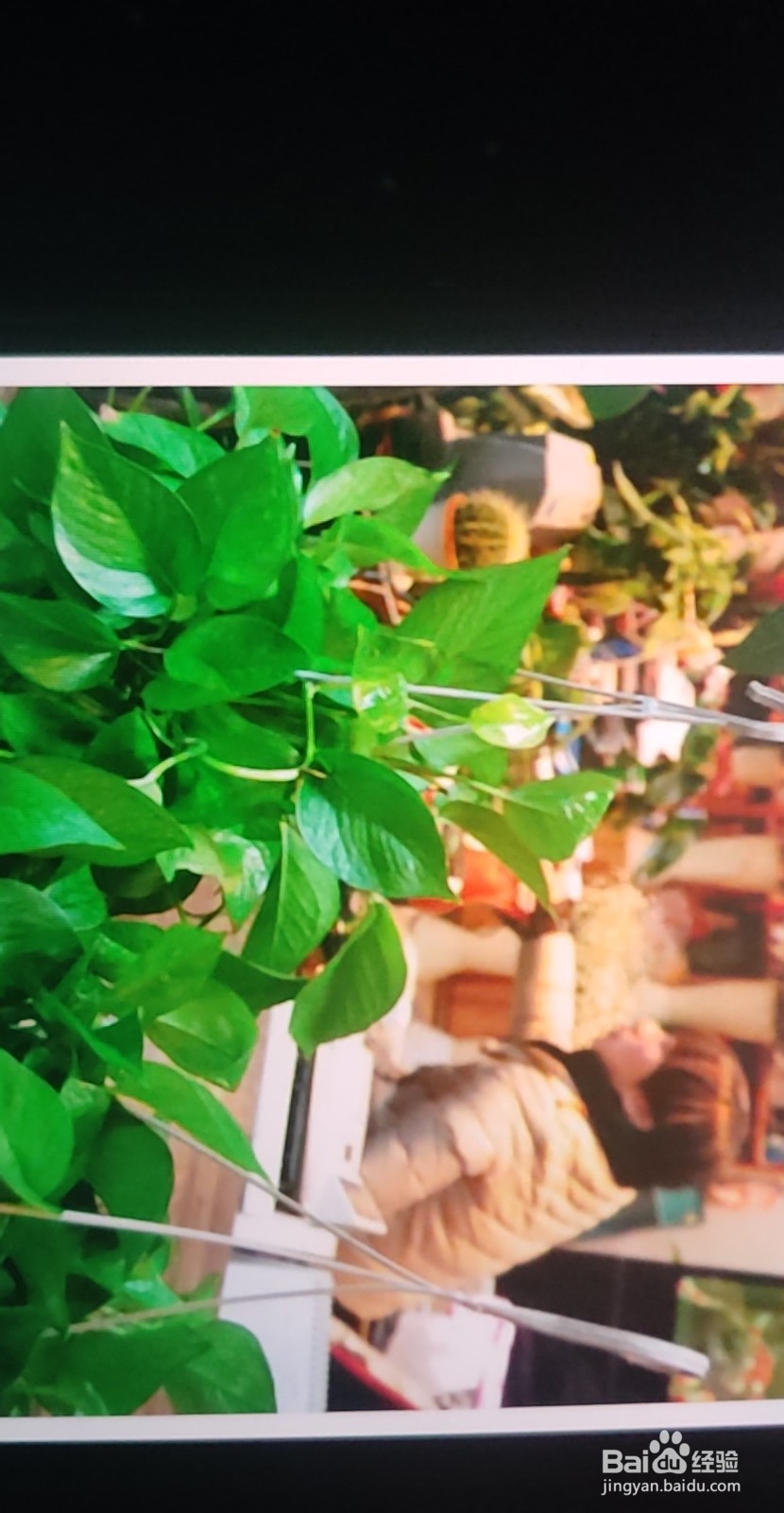 刚装修的房子怎么除甲醛