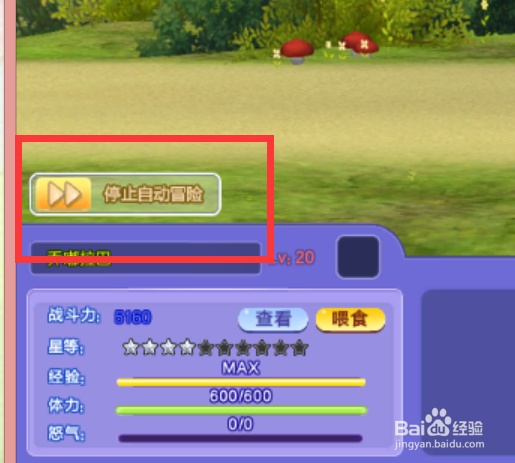 炫舞宠物爬塔怎么玩