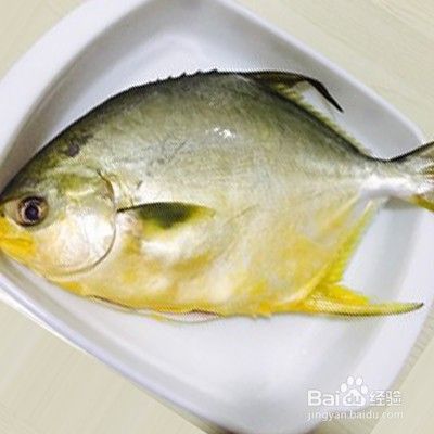 文昌鱼怎么做好吃 百度经验 文昌鱼怎么做好吃 百度经验