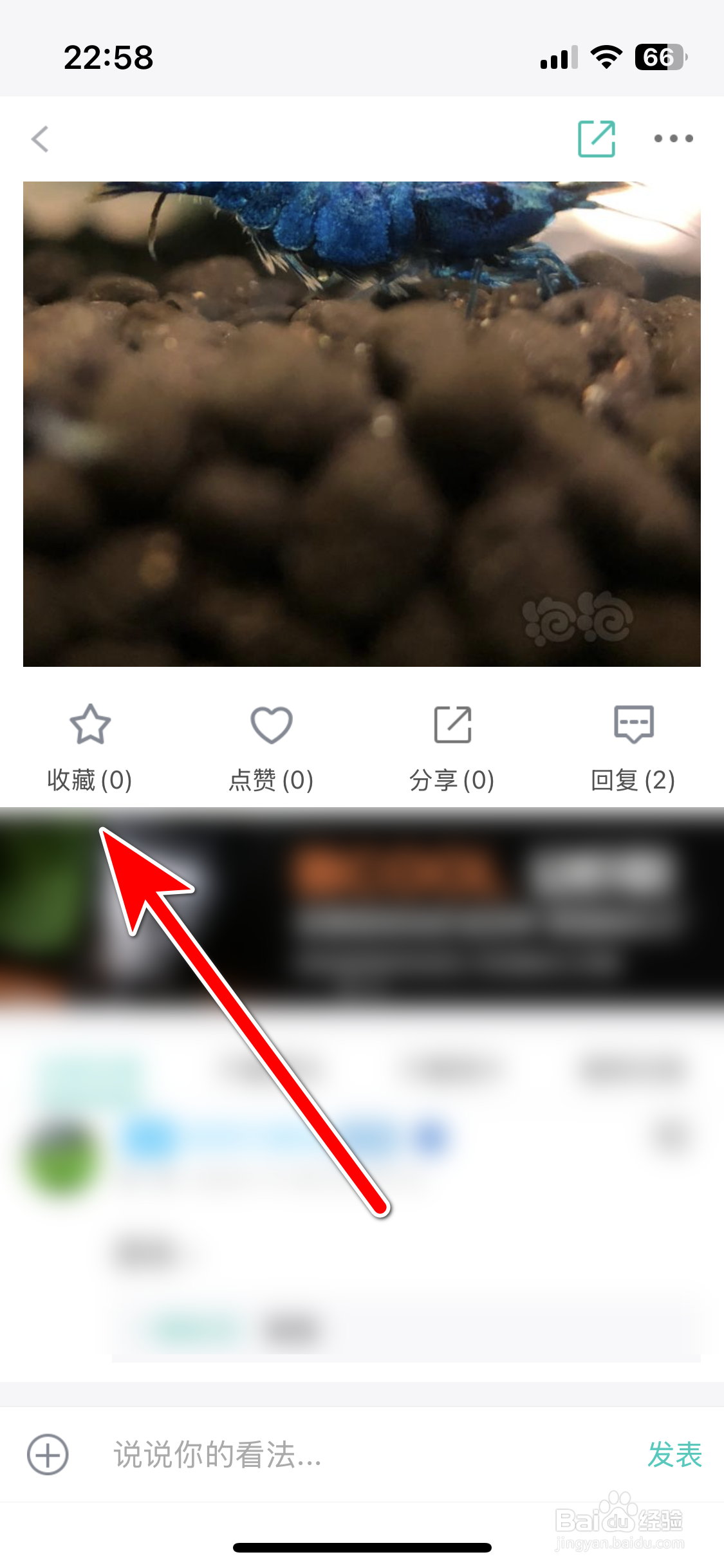 泡泡水族如何收藏动态
