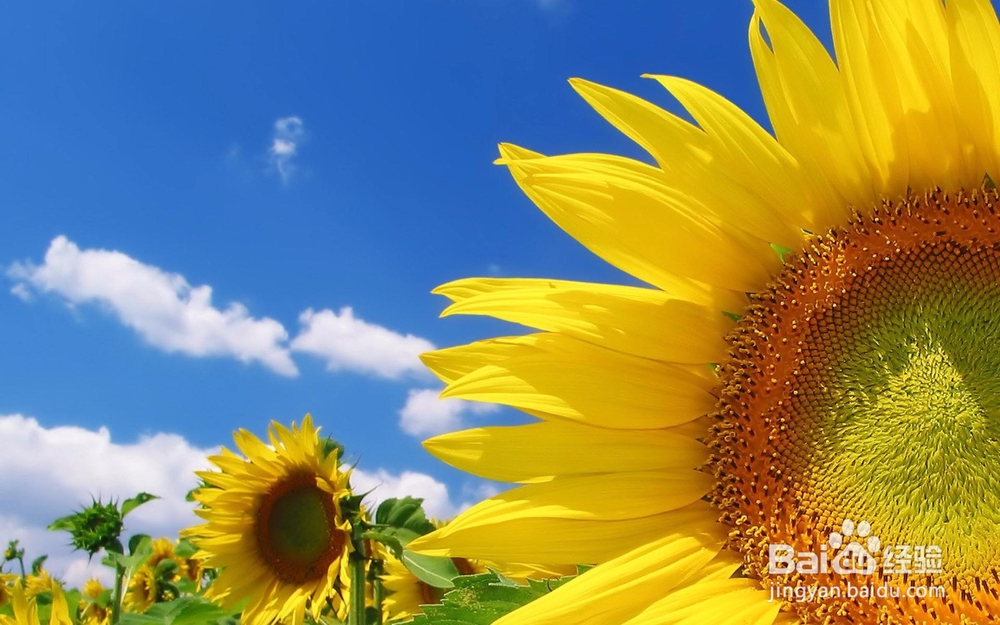 看不惯朋友的一些做法怎么办