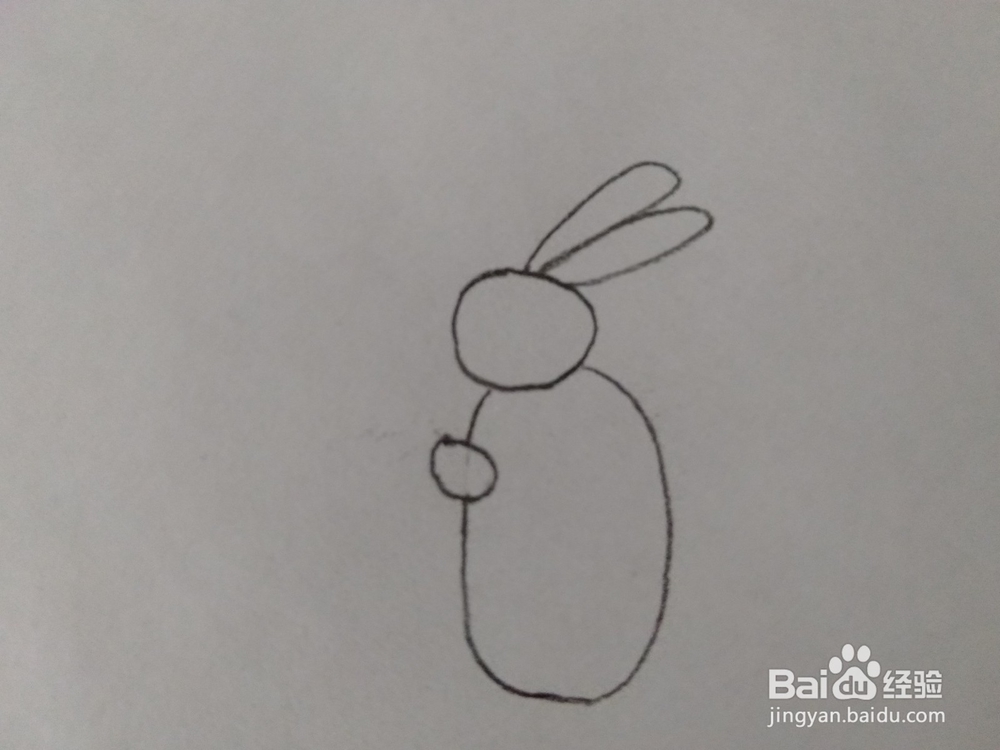 简笔画可爱小白兔的画法