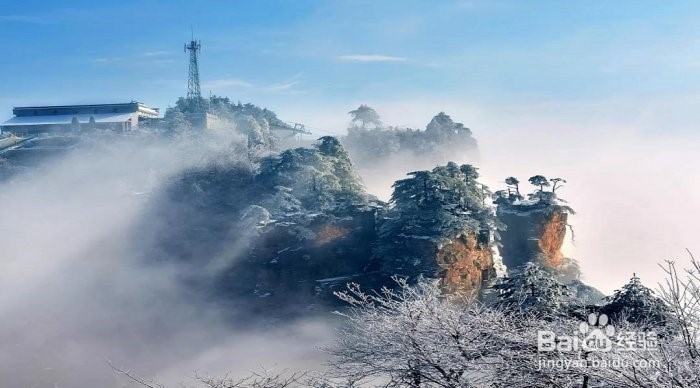 清远到张家界跟团旅游攻略