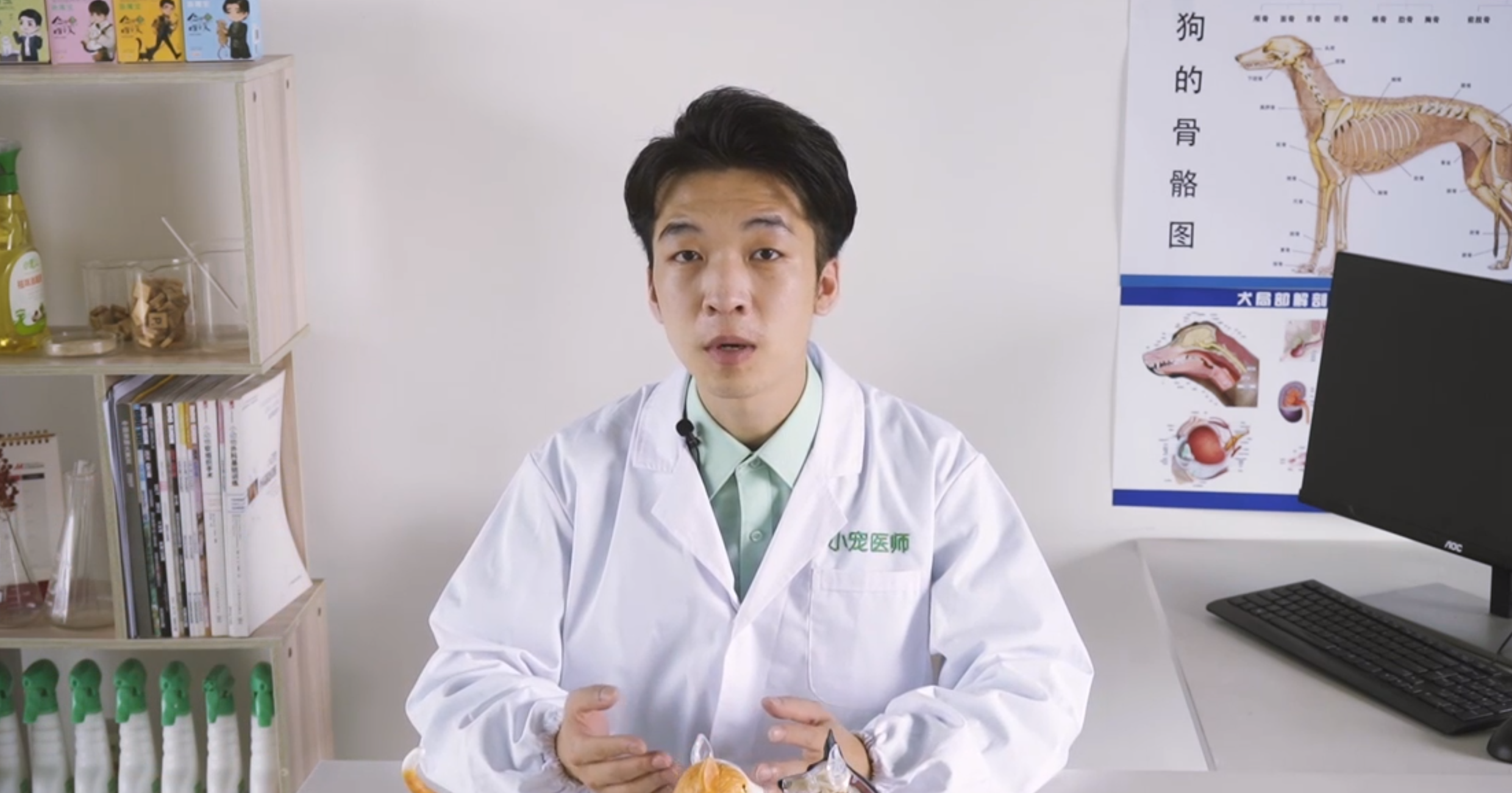 狗狗绝育的利与弊