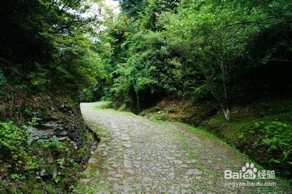 古道,先人足迹最多的地方