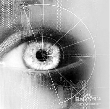 商业调查—如何查执行财产—傅律师