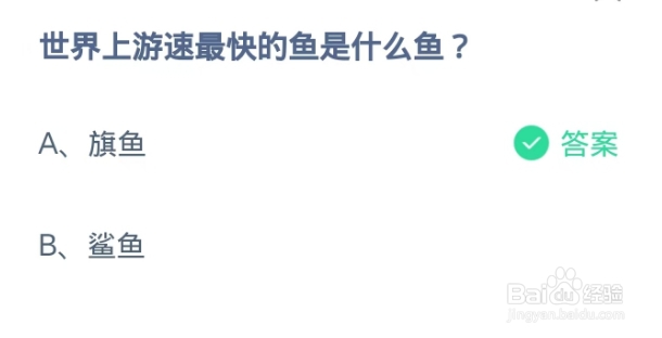蚂蚁庄园2024.10.25世界上游速最快的鱼是什么鱼