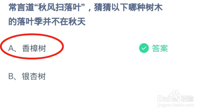蚂蚁庄园2024.10.29哪种树木的落叶季并不在秋天
