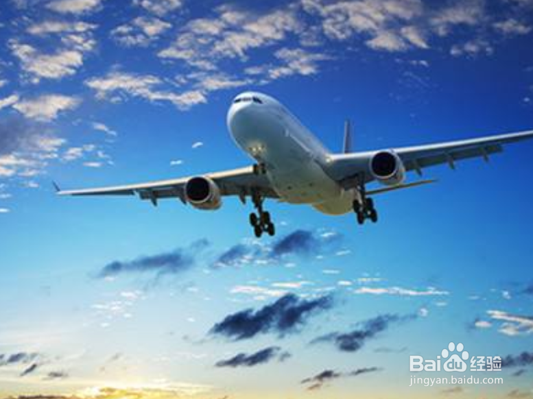 赶飞机迟到补救方法